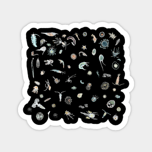 Plankton Magnet