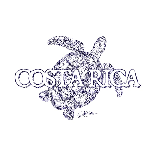 Costa Rica, Sea Turtle by jcombs