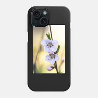 Fruit tree blossoms in spring Phone Case