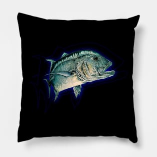 G.T. from the deep Pillow