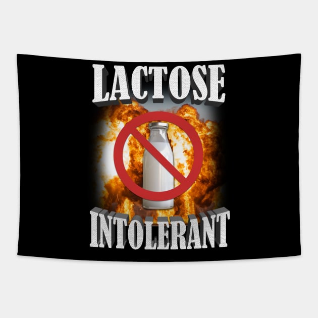 Lactose Intolerant Shirt, Lactose Intolerant, Weird Shirt, Specific Shirt, Funny Shirt, Offensive Shirt, Funny Gift, Sarcastic Shirt, Ironic Shirt Meme Shirt Tapestry by ILOVEY2K