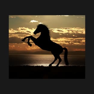 Beautiful Horse On The Beach T-Shirt