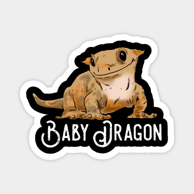 Featured image of post The Best 20 Crested Gecko Drawing Cute