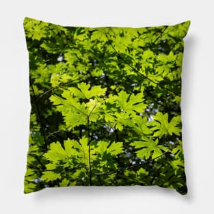 Sun-Dappled Leaves in the Forest Pillow