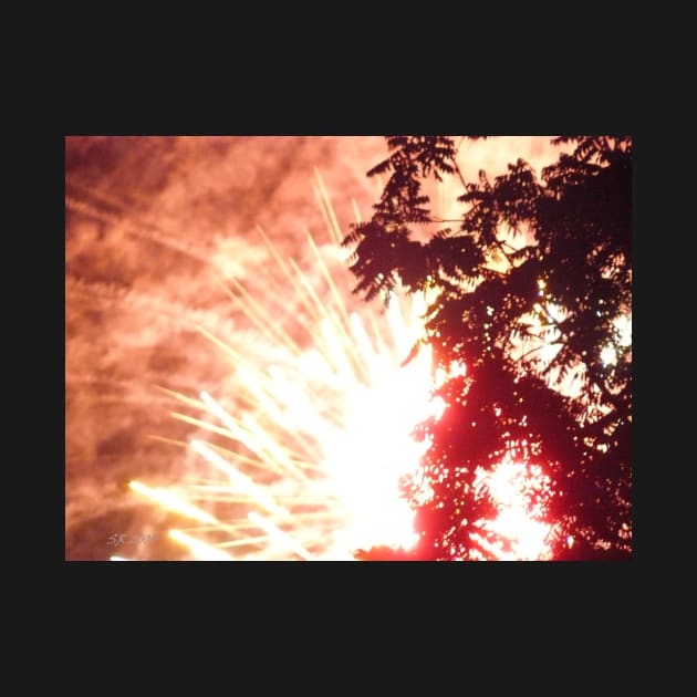 3rd of July Fireworks 12 by SteamyR