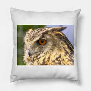 Eagle Owl Portrait Pillow