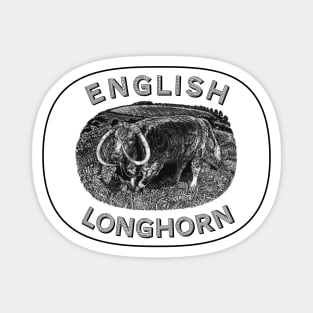 English Longhorn bull Magnet