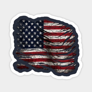 American flag Magnet