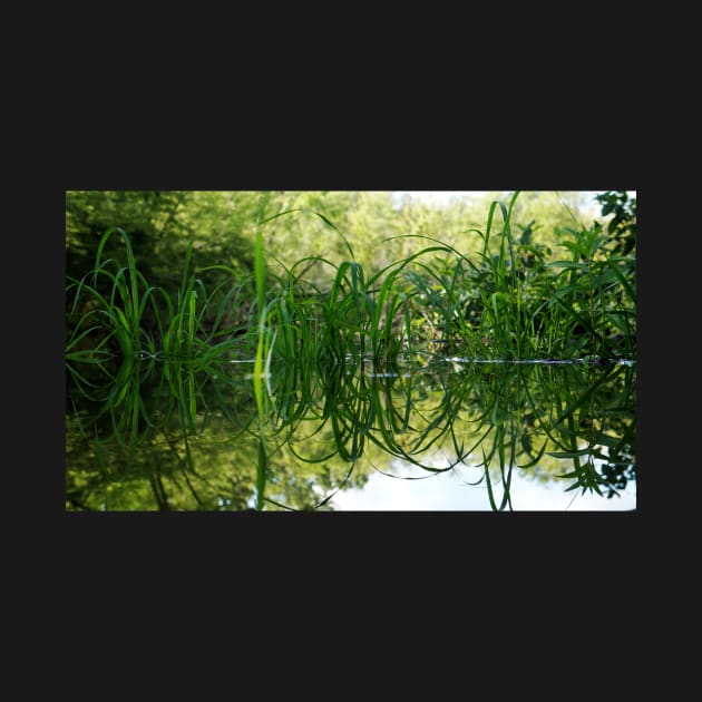 Grass Reflecting in the Water by 1Redbublppasswo