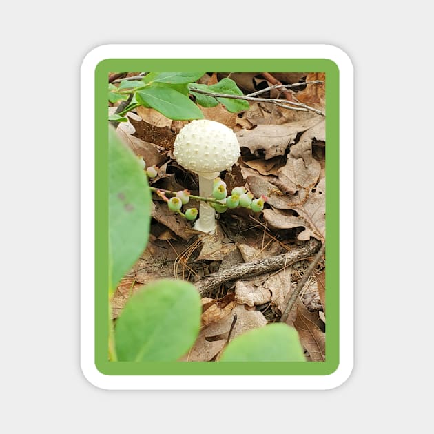 American Fly Agaric Magnet by etherealwonders