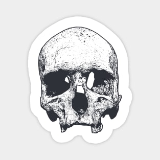 Skull Magnet