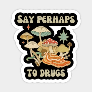 Say Perhaps To Drugs Magnet