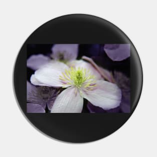 Pink Clematis flower Pin