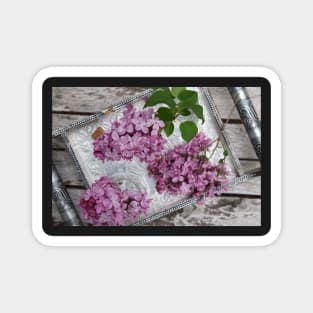 Fragrant purple Lilacs in a vase Magnet