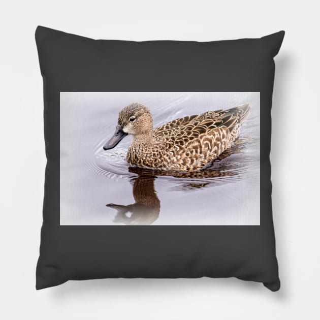 Blue-winged Teal Female by Debra Martz Pillow by Debra Martz