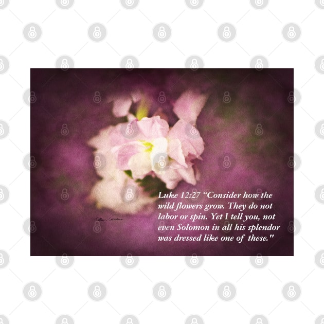 Luke 12:27 Bible Quote On Pink Flower by ButterflyInTheAttic