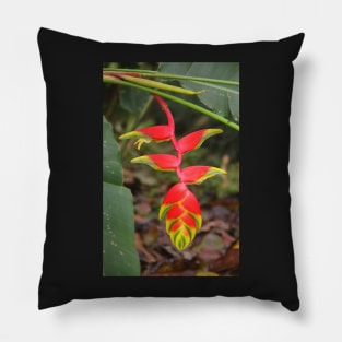 An Exotic Heliconia Pillow