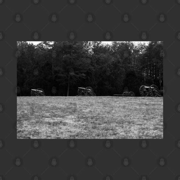 Hazel Grove Chancellorsville  Black and White by Enzwell