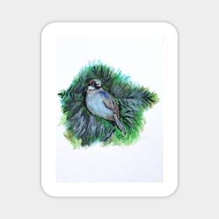 New York Winter Sparrow Magnet