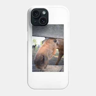 TB COLT Phone Case