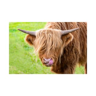 Highland Cow T-Shirt