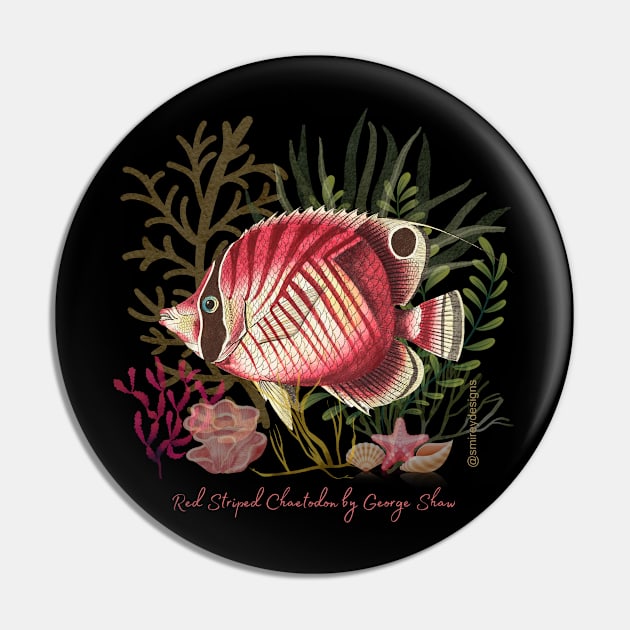 Red Striped Chaetodon by George Shaw Pin by smireydesigns