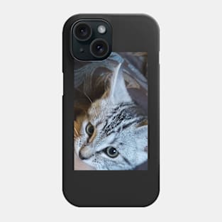 Kitten! (Goose is his name) Phone Case