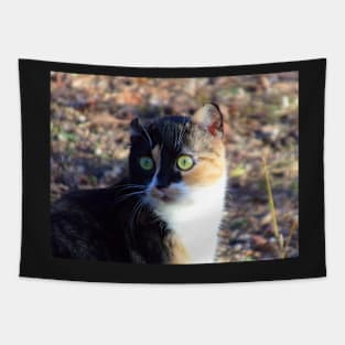 One Eared Cat Tapestry