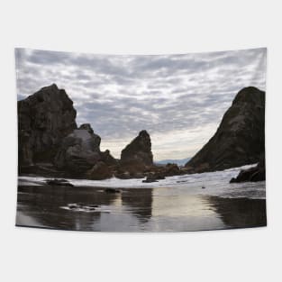 Harris Beach Morning Tapestry