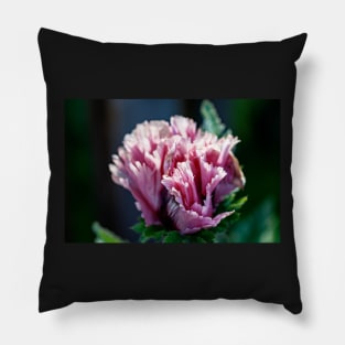 Frilly purple oriental poppy Pillow