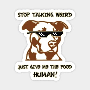 Stop talking weird just give me the food human! Magnet