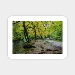 Autumn Golitha falls walk Magnet