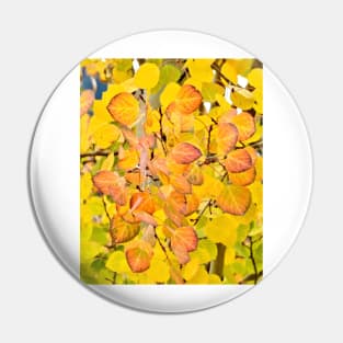 Fall Aspen Leaves Pin