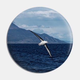 albatros wandering the ocean Pin