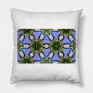 Lake Worth Beach Kaleidoscope Pillow