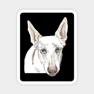 White shepherd SAFFY Magnet