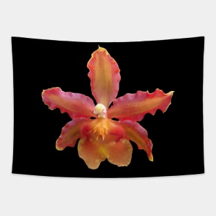 orchid floral blooming orchids flower Tapestry