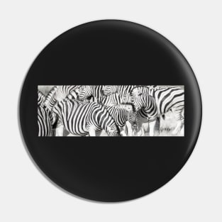 Zebra herd oblong black and white stripe full frame. Pin