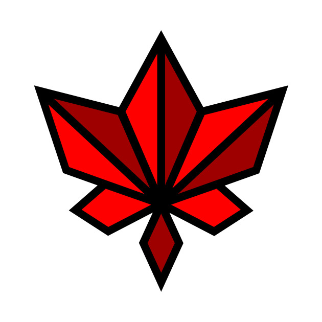 geometric leaf drawing