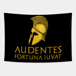 Ancient Rome Latin Quote - Classical Greek Spartan Helmet Tapestry