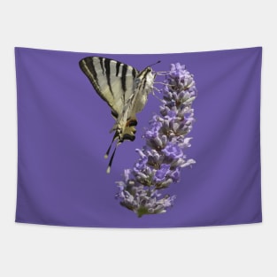 Side View Of Scarce Swallowtail Butterfly Feeding On Lilac Tapestry