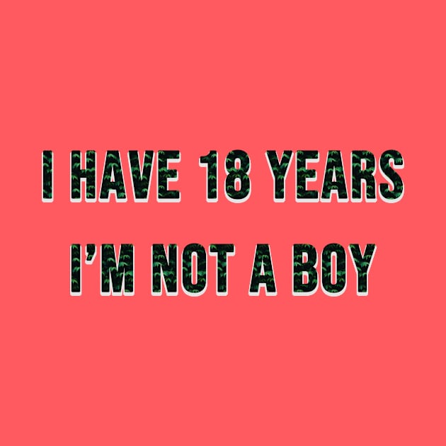 i have 18 years i'm not a boy by ahnoun