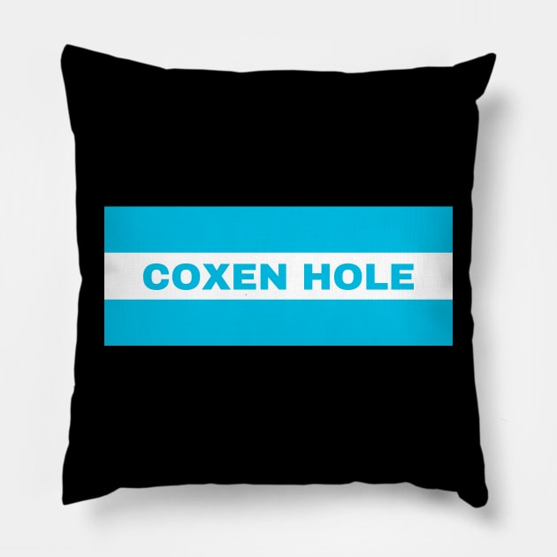 Coxen Hole City in Honduras Flag Colors Pillow by aybe7elf