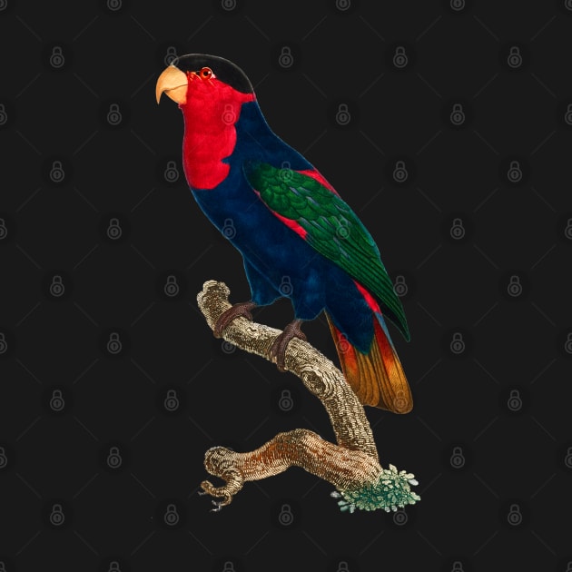 Black Panther Art - Beautiful Parrot 14 by The Black Panther