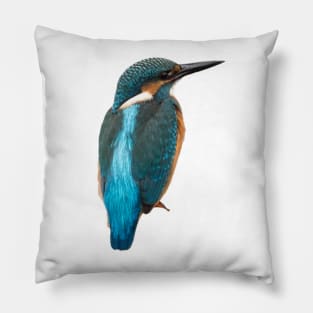 Close-up of a common kingfisher or Alcedo atthis Pillow