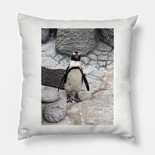 Penguin Pillow