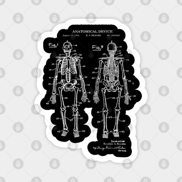 Anatomical Human Skeleton Patent Print 1921 Magnet by MadebyDesign