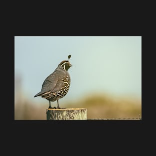 California Quail T-Shirt