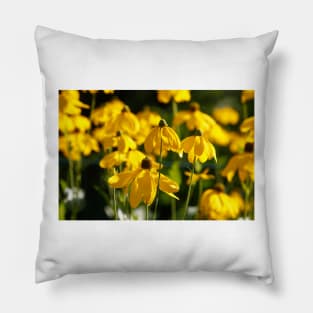 Flowering yellow coneflower Pillow