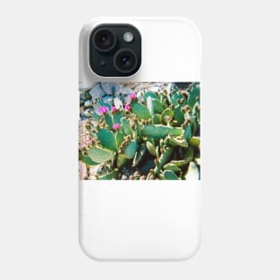 Arizona cactus color photograph Phone Case